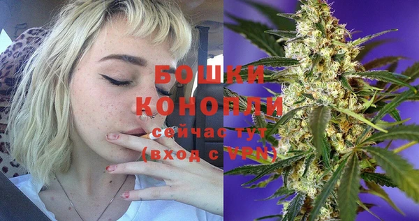 ПСИЛОЦИБИНОВЫЕ ГРИБЫ Медногорск