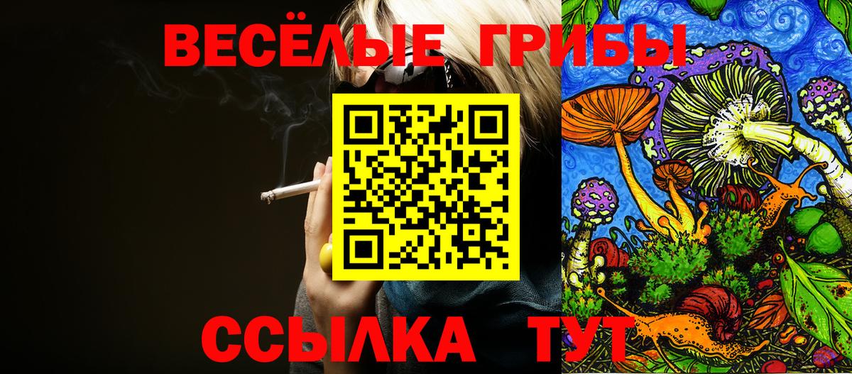Галлюциногенные грибы мухоморы Москва