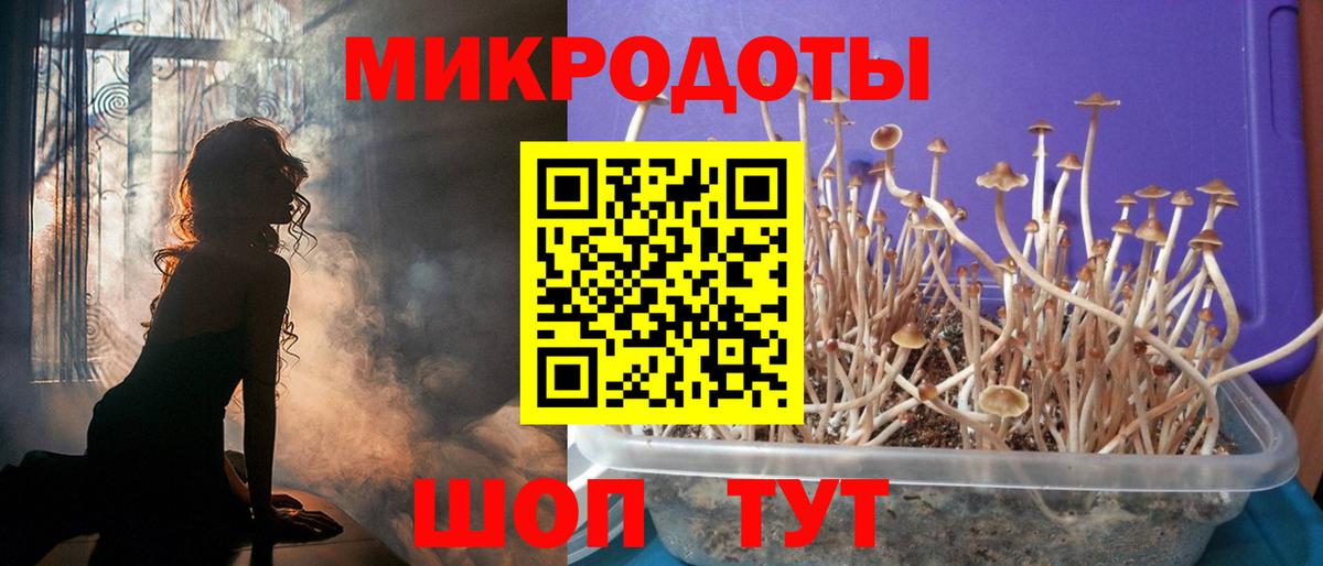 Москва  Галлюциногенные грибы ЛСД  Галлюциногенные грибы мицелий  Вход с VPN 