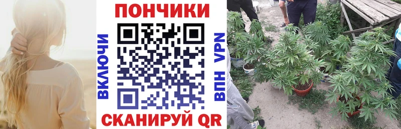 Шишки марихуана Bruce Banner  Москва 